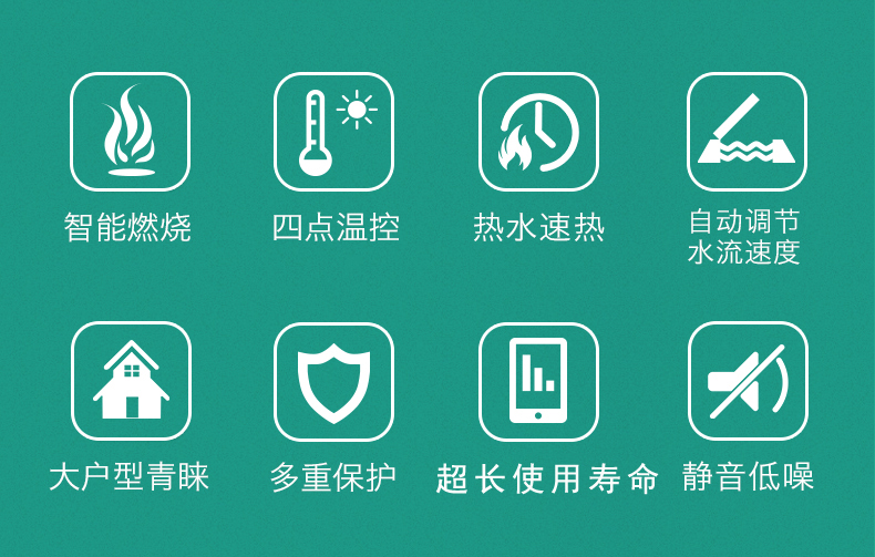 威能原装进口壁挂炉豪华款28kw采暖热水两用炉