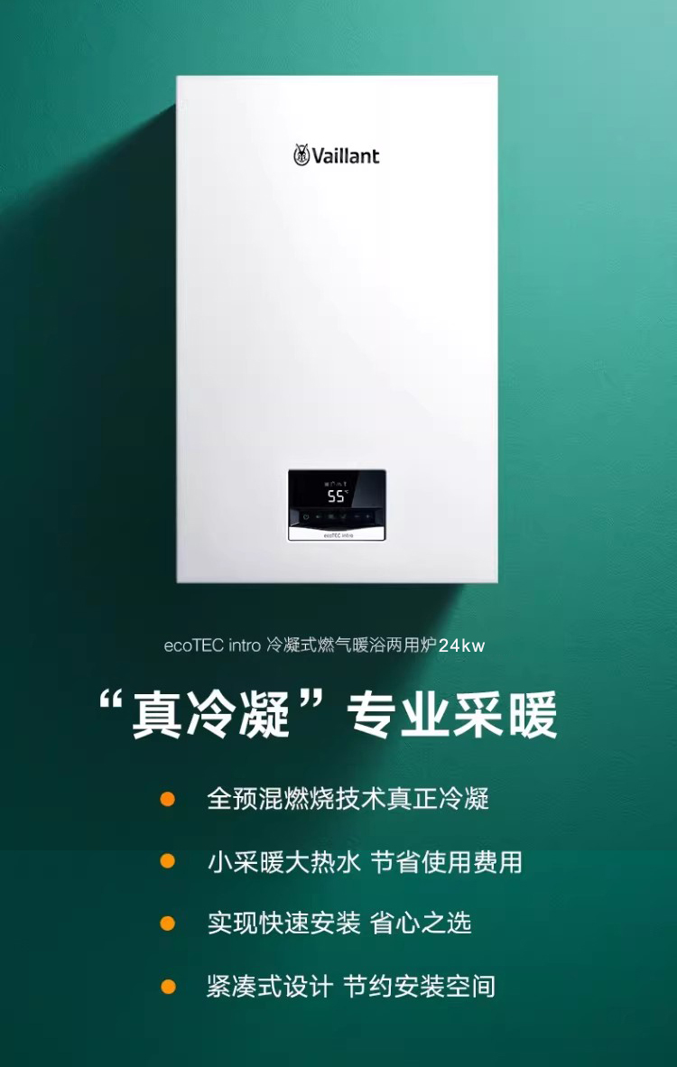 威能EcoTEC INTRO
